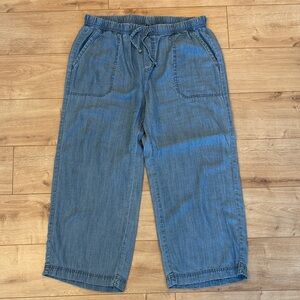 Splendid Blue Denim Drawstring Pants